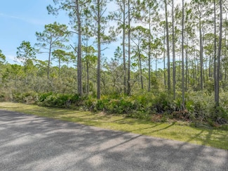 Lot 3 Beechcraft Dr, Panacea, FL 32346