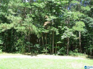 7817 Depot St Unit Metes and Bounds, Ragland, AL 35131