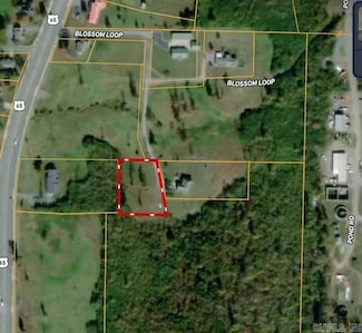 0 Blossom Loop, Clinton, AR 72031