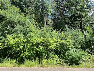 23xxx 182nd St NW, Big Lake, MN 55309