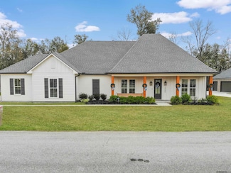 13344 Delaune Rd, Gonzales, LA 70737
