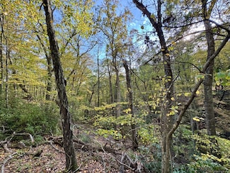 69 Moosehorn Rd, Roxbury, CT 06783