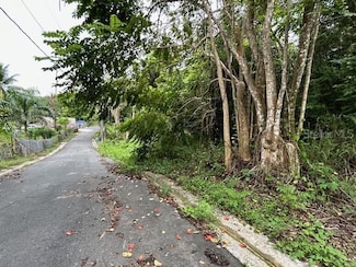 0 Campo Nuevo-Azucena 2 Unit MFRPR9111923, Vega Alta, PR 00692