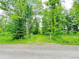 4371 Lawson Rd, Busti, NY 14701
