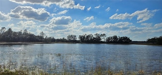 Lot 4 - 12.38ac E Highway 318, Citra, FL 32113