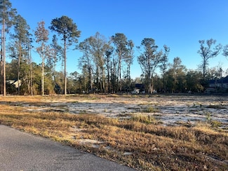 0 Chesley Dr Unit 23818, Vidalia, GA 30474