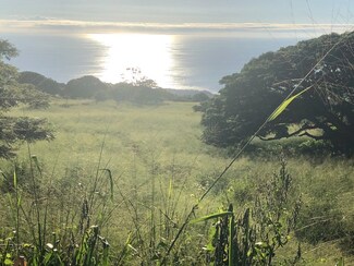 79-7378 Hawaii Belt Rd, Kealakekua, HI 96750