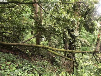0 Birch Ln, Eugene, OR 97403