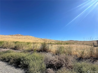 0 Bill Shaw Rd Unit 21467368, Pateros, WA 98846