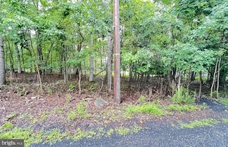 Lots 36, 38 Faratol Rd, Middle Smithfield Township, PA 18302