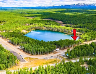 19491 E Good Land Dr, Willow, AK 99688