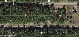 1650 E Badger Dr, Citrus Springs, FL 34434