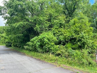00 W Mckinley St, Mebane, NC 27302