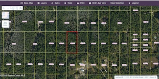 0 Holopaw Groves Rd Unit 1056002, Saint Cloud, FL 34771