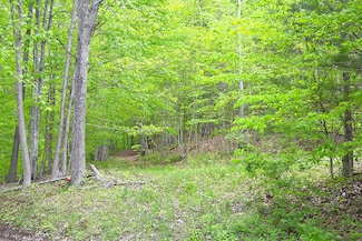 0 Germany Rd Unit 25-584, Auto, WV 24966
