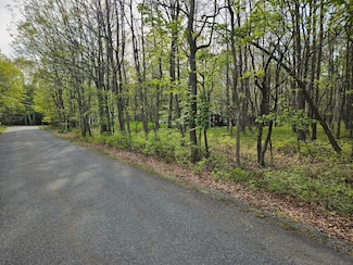 0 Berry Ln, Penn Forest Township, PA 18229