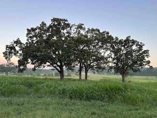 TBD Polk County Road 49, Mena, AR 71953