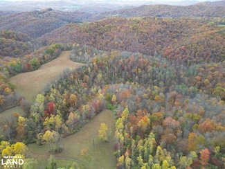 0 Tbd Painters Fork, Frametown, WV 26623