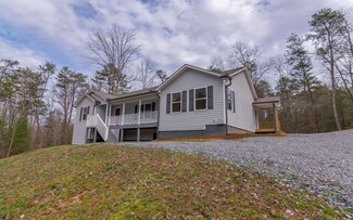 609 Goose Island Rd, Cherry Log, GA 30522