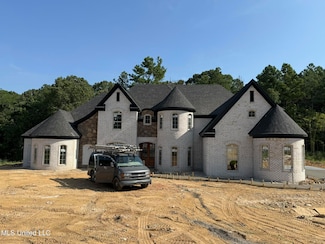 11444 Vicki's Ln, Olive Branch, MS 38654