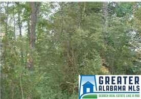 4250 Popes Chapel Rd, Ragland, AL 35131