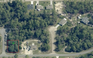 1587 W Riley Dr, Citrus Springs, FL 34434