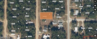 0 Yale St Unit 2100113, Interlachen, FL 32148