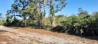 911 Bougainville Dr, Lake Wales, FL 33855