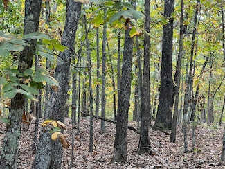 Lot 3 County Road 113, Piney Township, MO 65606