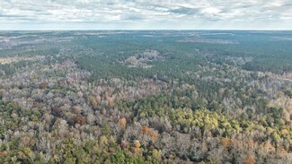 0 Georgia 171, Edgehill, GA 30810