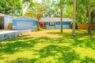 10825 Twin Palms Ranch Rd, Gibsonton, FL 33534
