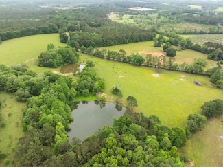 0 John Dennis Rd, Waynesboro, MS 39367