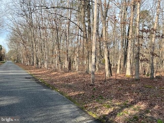 0 Wisteria Ave Unit NJAC2011888, Buena Vista Township, NJ 08350