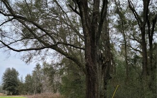 0 Tbd 157th Place, McAlpin, FL 32062