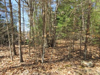 Lot 32 Emerson Dr, Barnstead, NH 03218