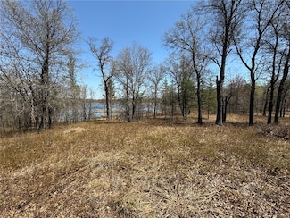 29937 N Bay Dr, Danbury, WI 54830