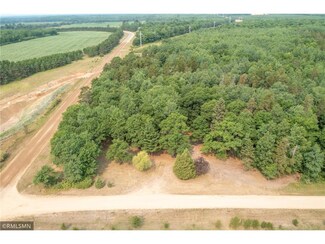 43037 Hosta Ln, Pine River, MN 56474