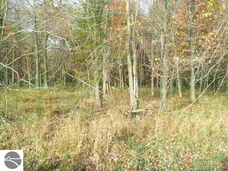 0 Stewart Rd Unit 1761982, Sterling, MI 48659