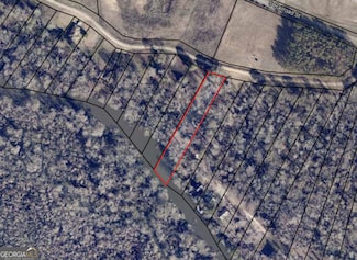 LOT 22 the River Landing, Midville, GA 30441