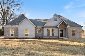 126 Deerfield Trace, Coldwater, MS 38618