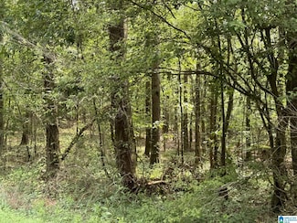 0 County Road 103 Unit 9.5 Acres 21423260, Woodland, AL 36280
