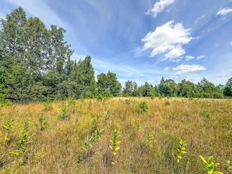 1.62 A Darlak's Bay Ln, Worcester, WI 54555