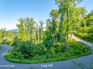 0 Loop Rd Unit 1307617, Gatlinburg, TN 37738