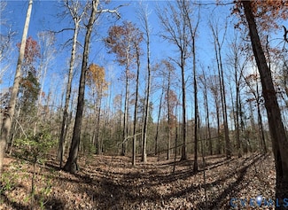 Lot 4 Diggstown Rd, Bumpass, VA 23024