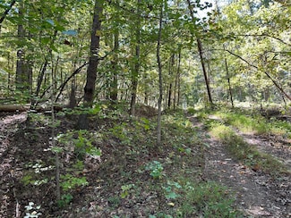 412 Wayne Smith Rd, Spring City, TN 37381