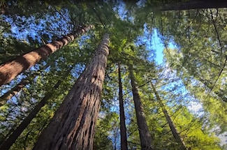 1777 Sprowl Creek Rd, Garberville, CA 95542