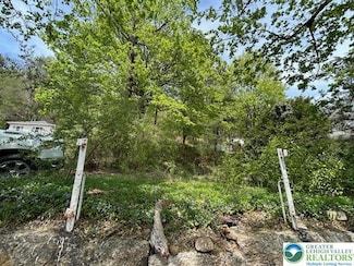 732 Center Ave, Jim Thorpe, PA 18229