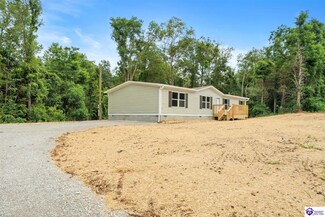 110 Hobbs Reesor Rd, Brandenburg, KY 40108
