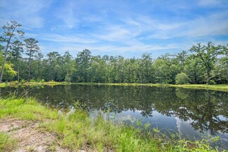 19019 Veterans Rd, Magnolia, TX 77355