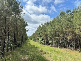 0 Spay Rd, McCool, MS 39108